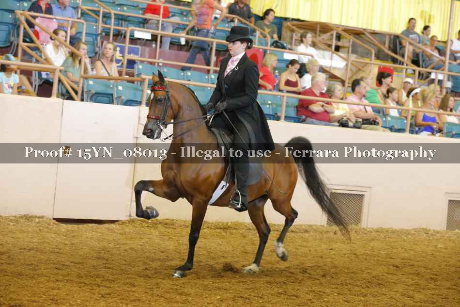 Proof 15YN_08013