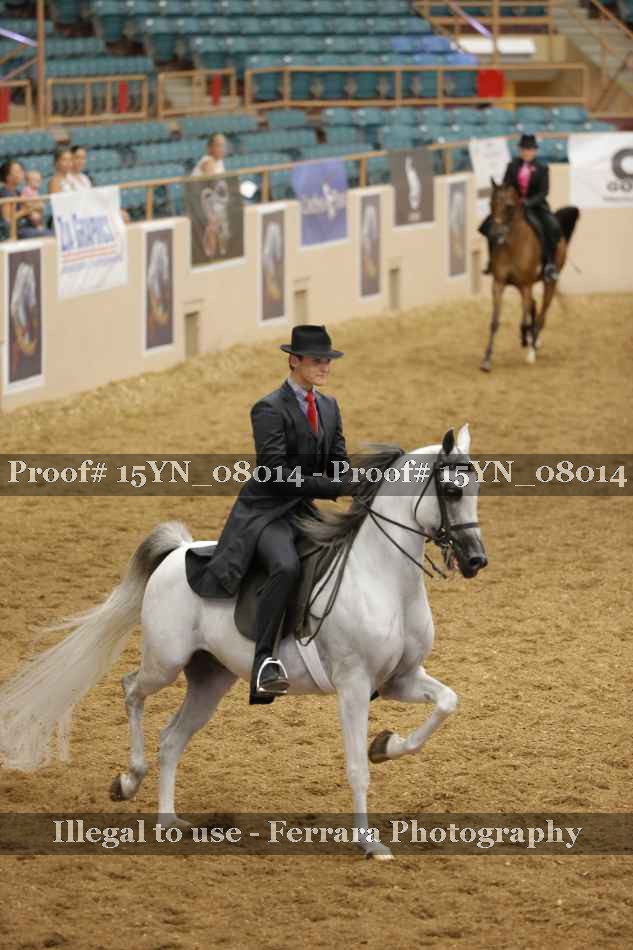 Proof 15YN_08014