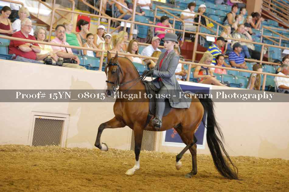Proof 15YN_08015
