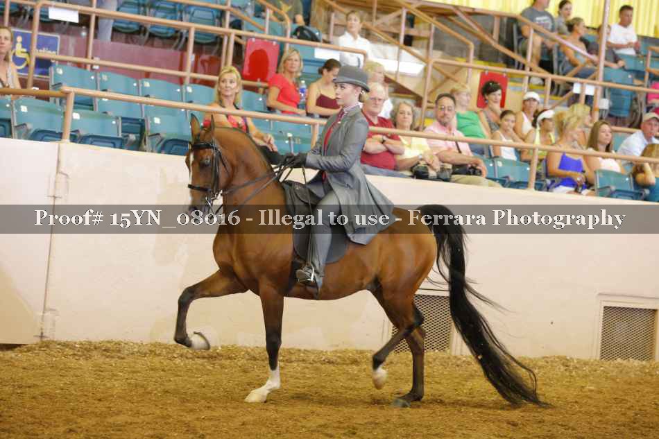 Proof 15YN_08016