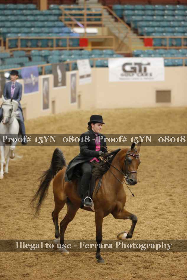 Proof 15YN_08018