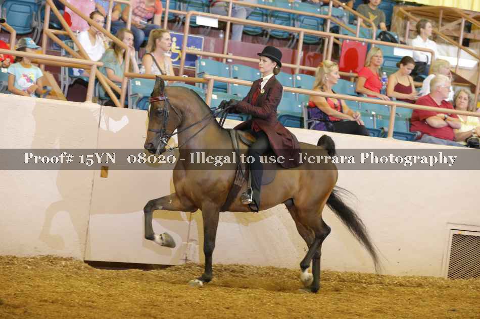 Proof 15YN_08020