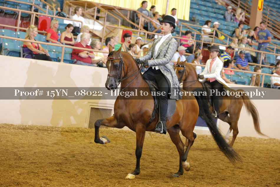 Proof 15YN_08022