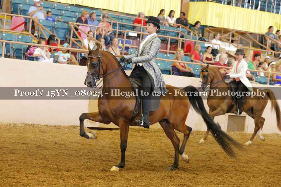 Proof 15YN_08023