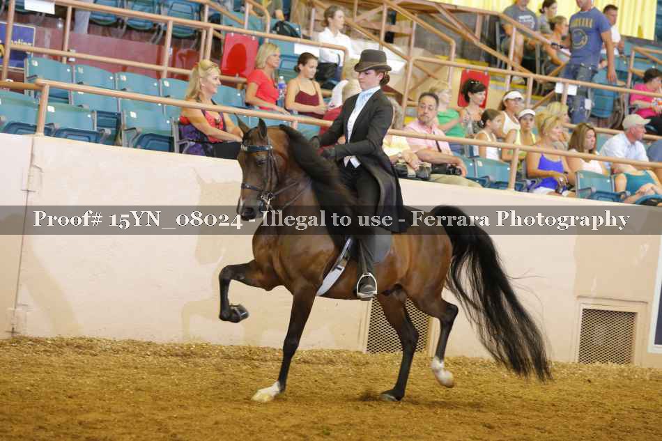 Proof 15YN_08024