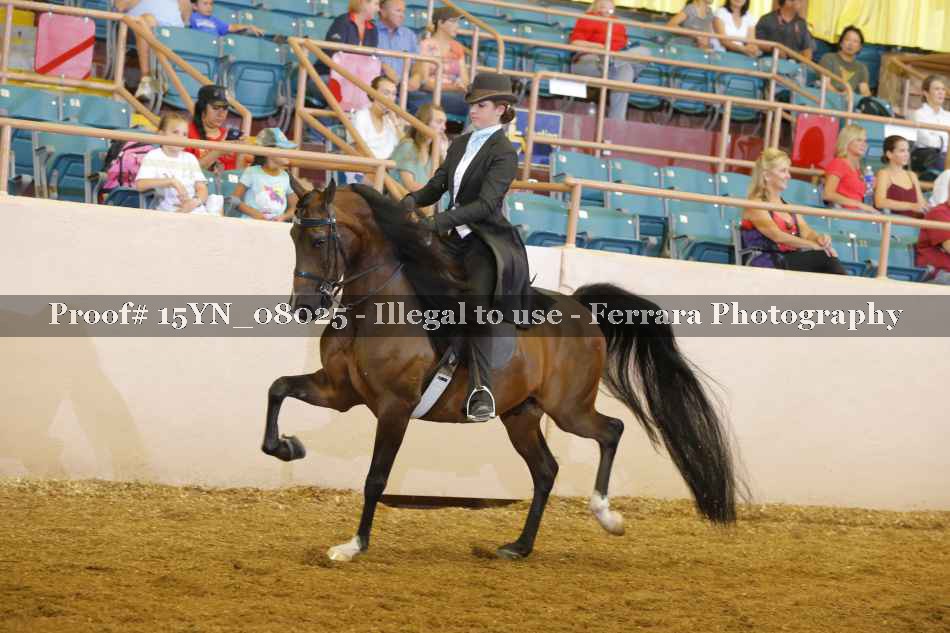 Proof 15YN_08025