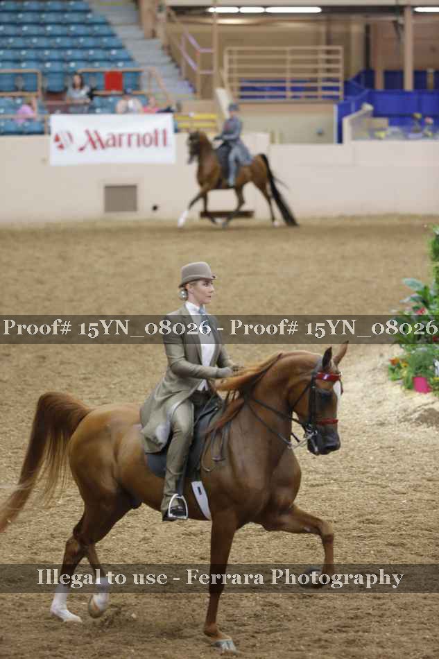 Proof 15YN_08026