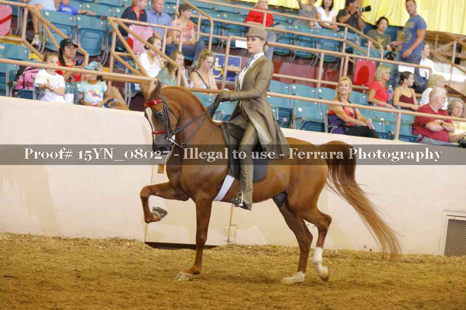 Proof 15YN_08027