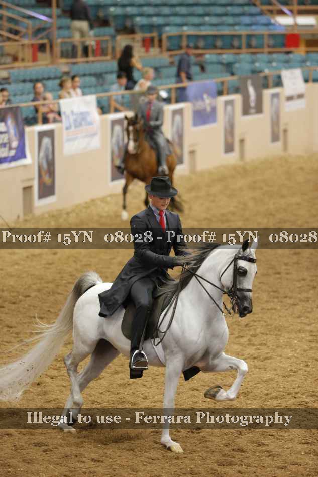 Proof 15YN_08028