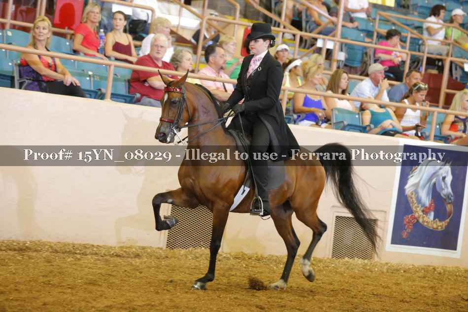 Proof 15YN_08029