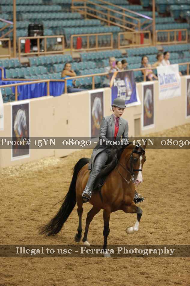 Proof 15YN_08030