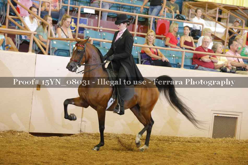 Proof 15YN_08031
