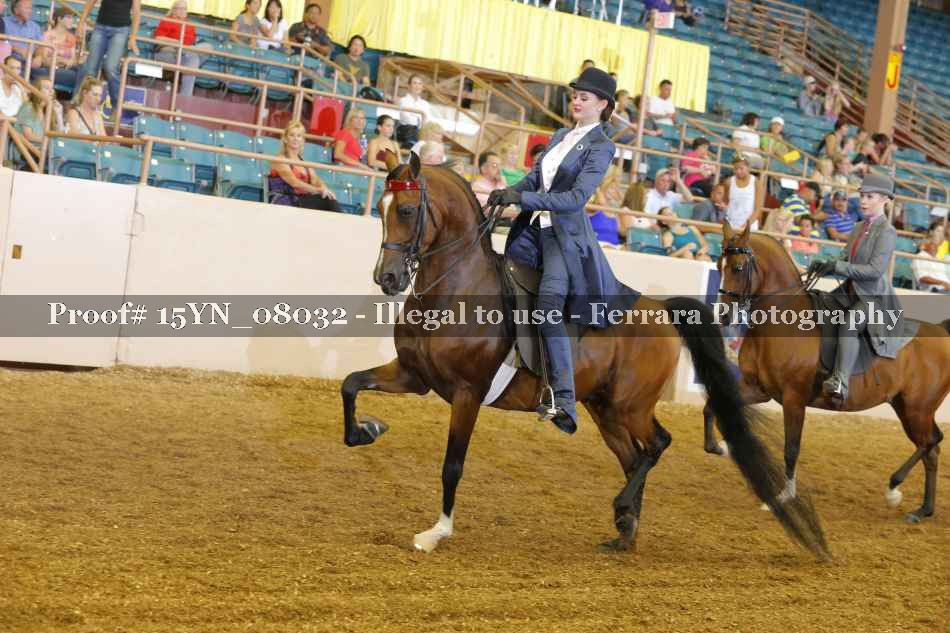 Proof 15YN_08032