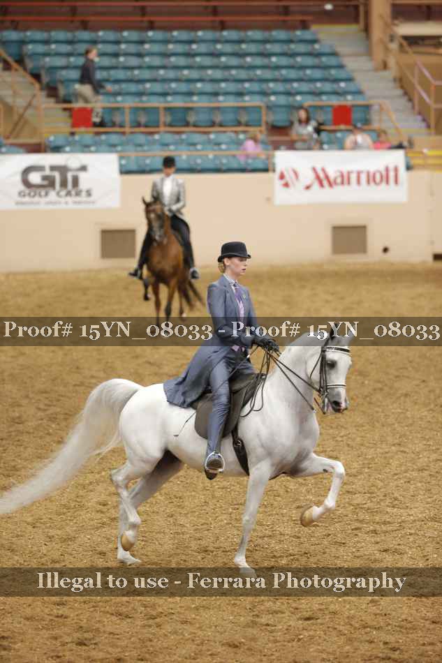 Proof 15YN_08033