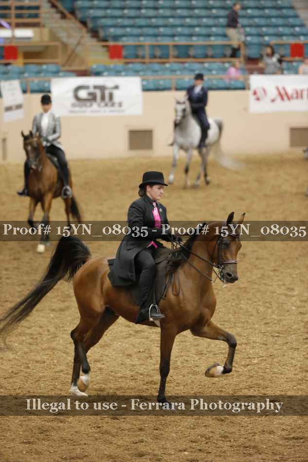 Proof 15YN_08035