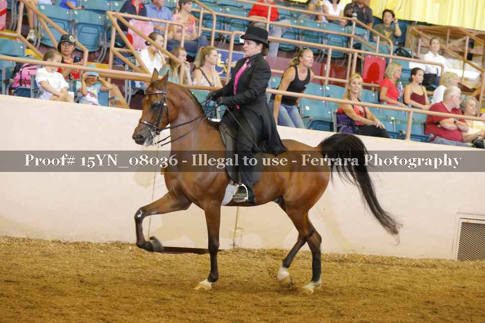 Proof 15YN_08036