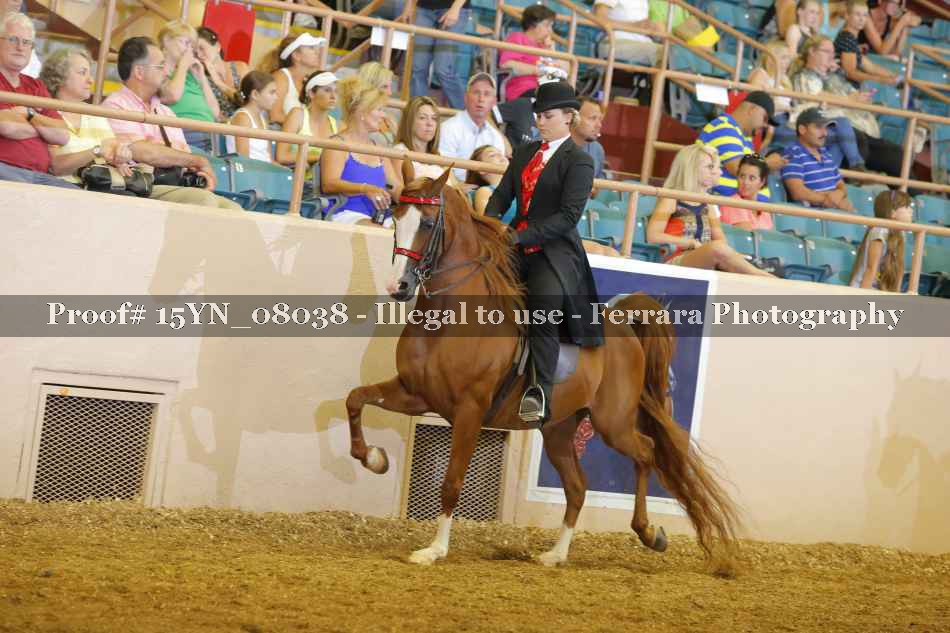 Proof 15YN_08038