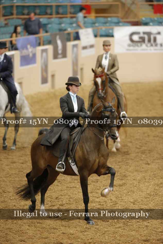 Proof 15YN_08039