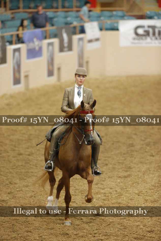 Proof 15YN_08041