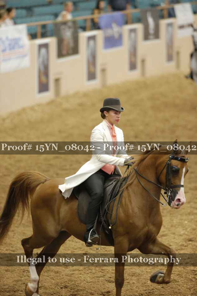 Proof 15YN_08042