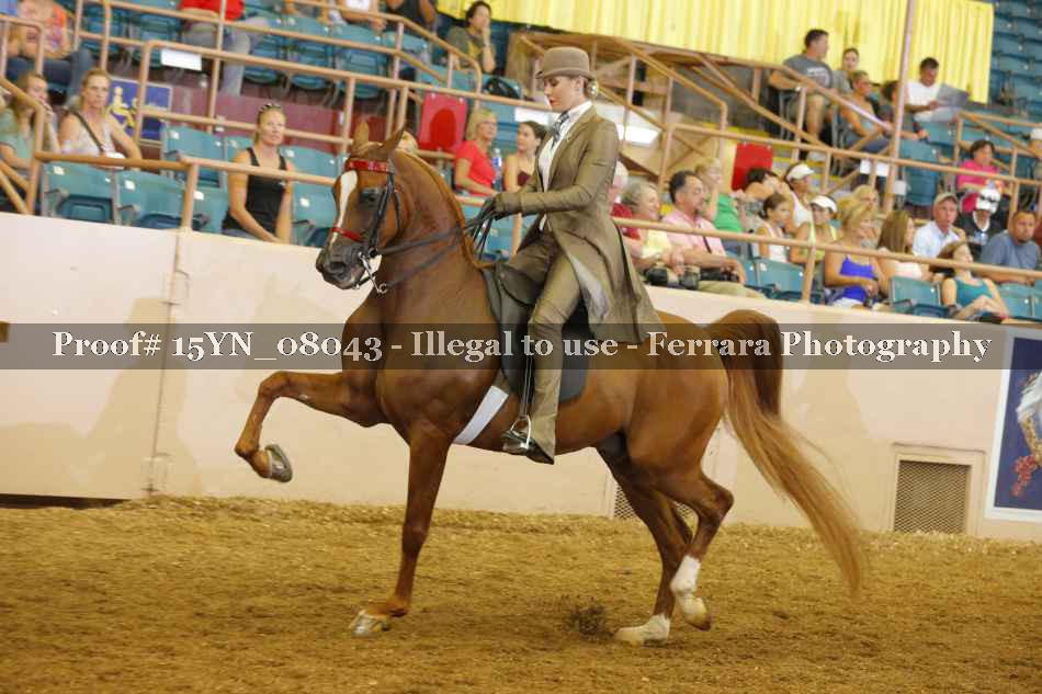 Proof 15YN_08043