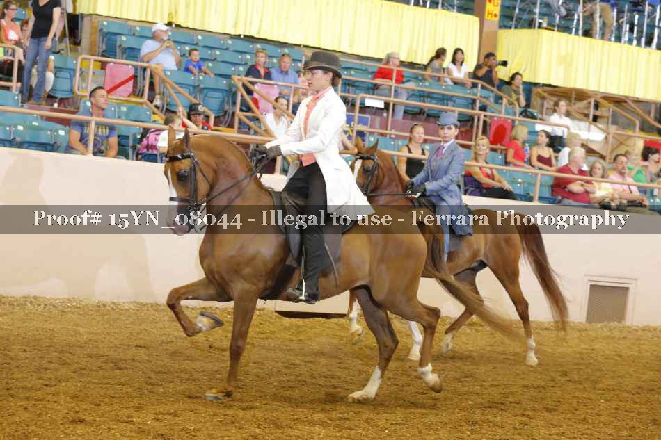Proof 15YN_08044