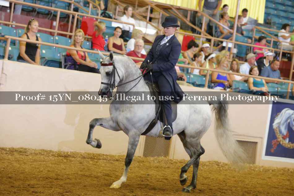 Proof 15YN_08045
