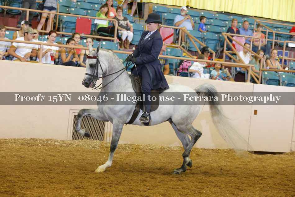 Proof 15YN_08046