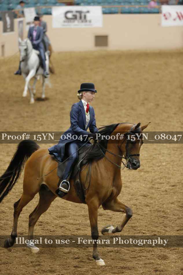 Proof 15YN_08047