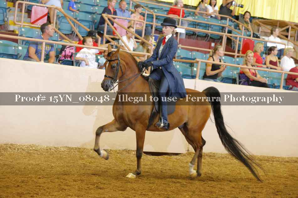 Proof 15YN_08048
