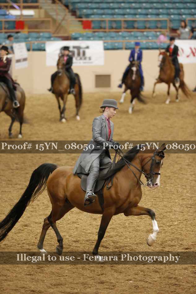 Proof 15YN_08050