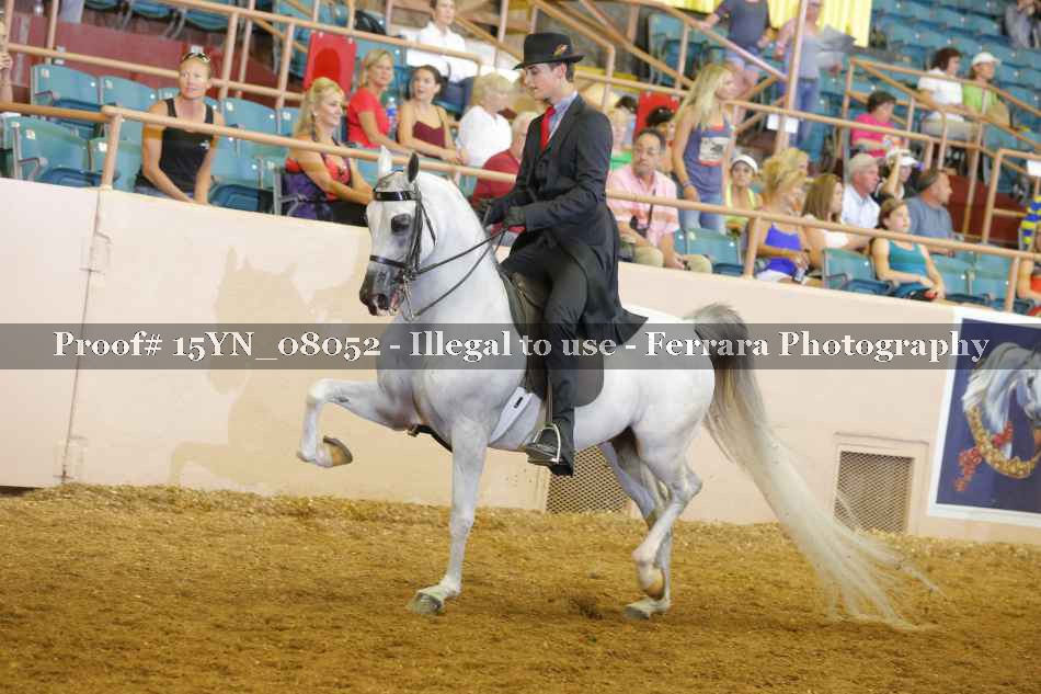 Proof 15YN_08052