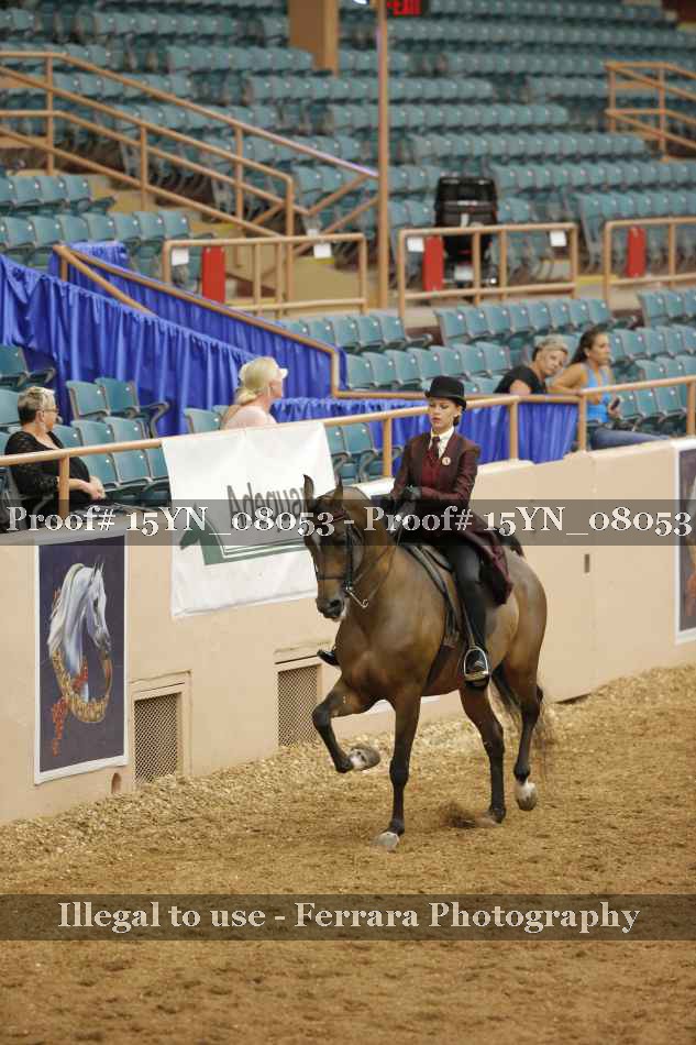 Proof 15YN_08053