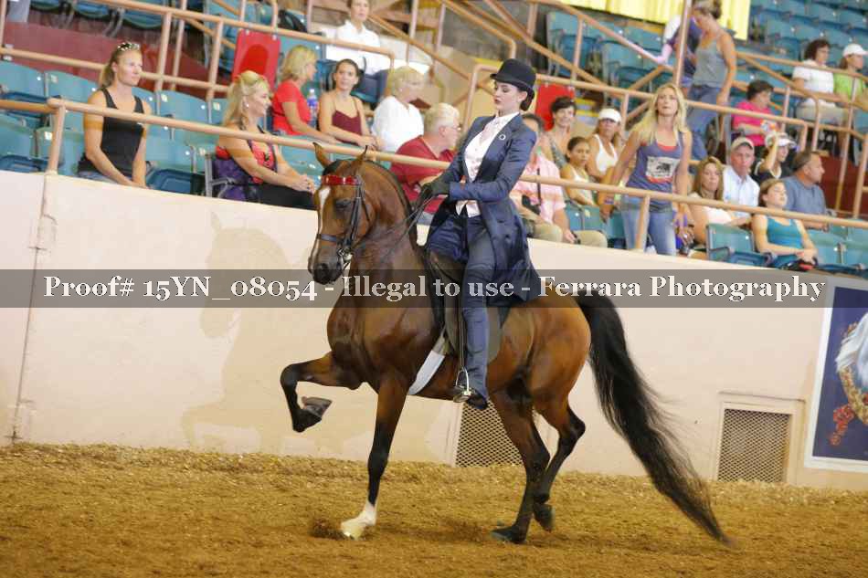 Proof 15YN_08054