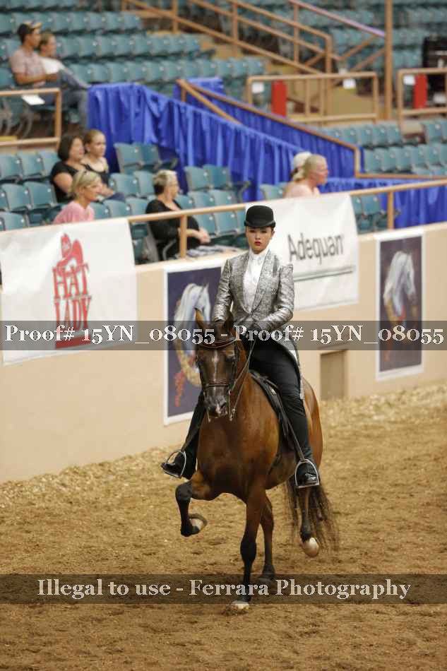 Proof 15YN_08055