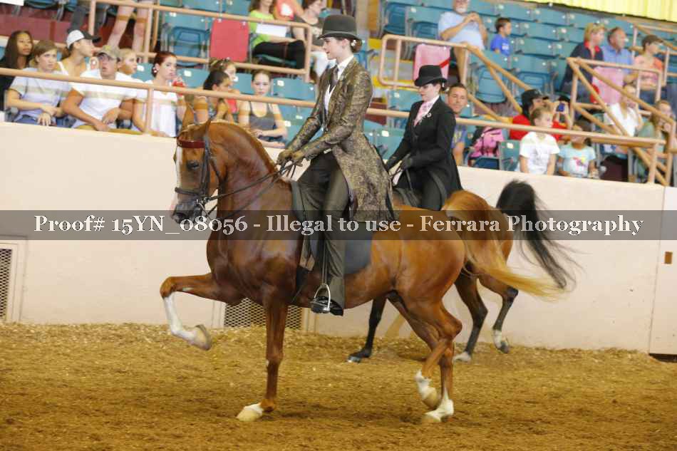 Proof 15YN_08056
