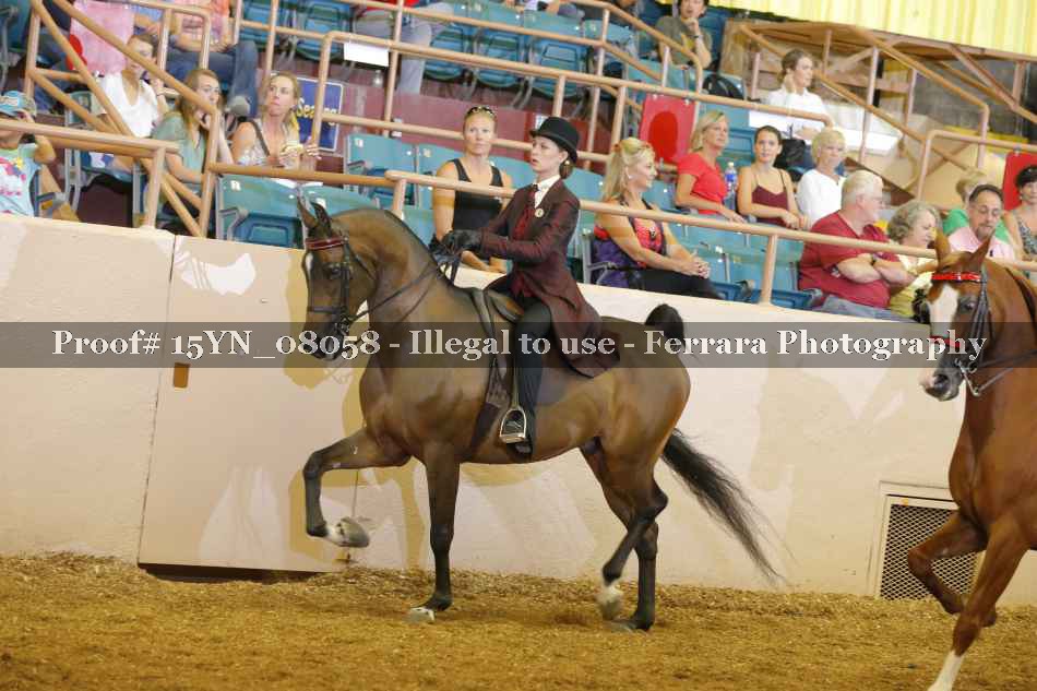 Proof 15YN_08058
