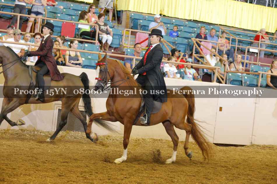 Proof 15YN_08060