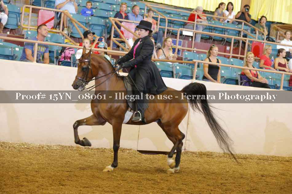 Proof 15YN_08061
