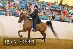 15YN_08061 proof