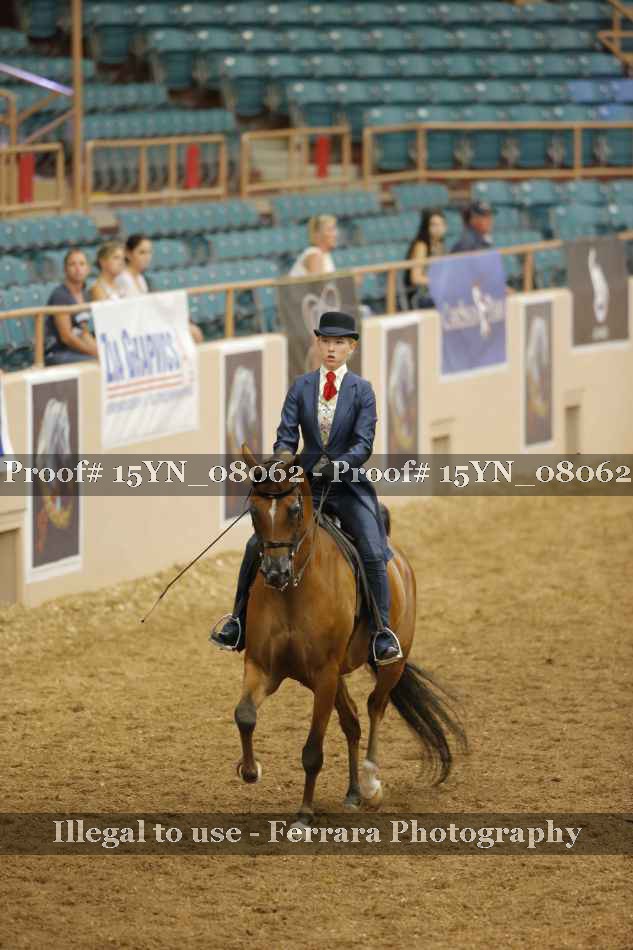 Proof 15YN_08062