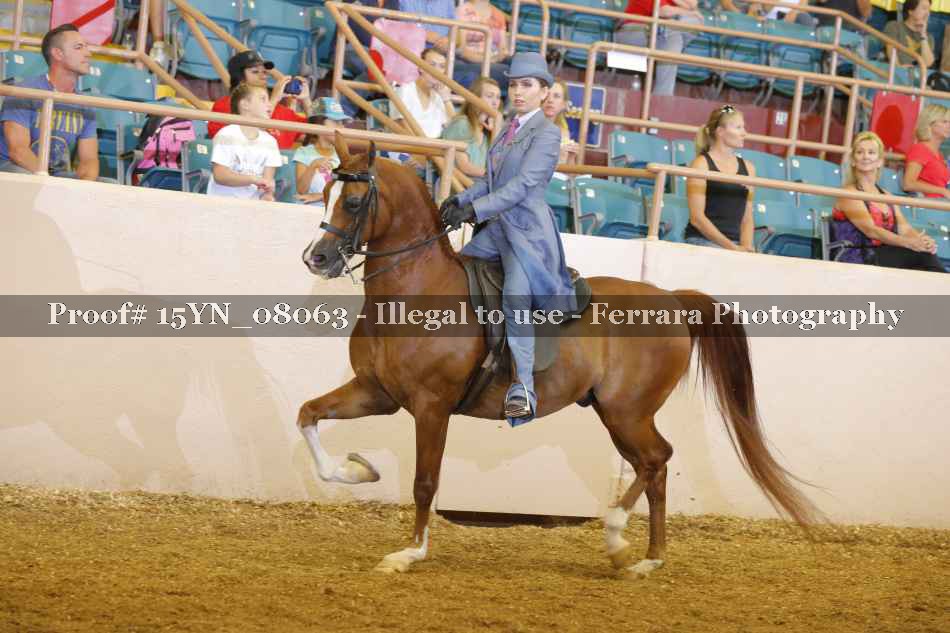 Proof 15YN_08063