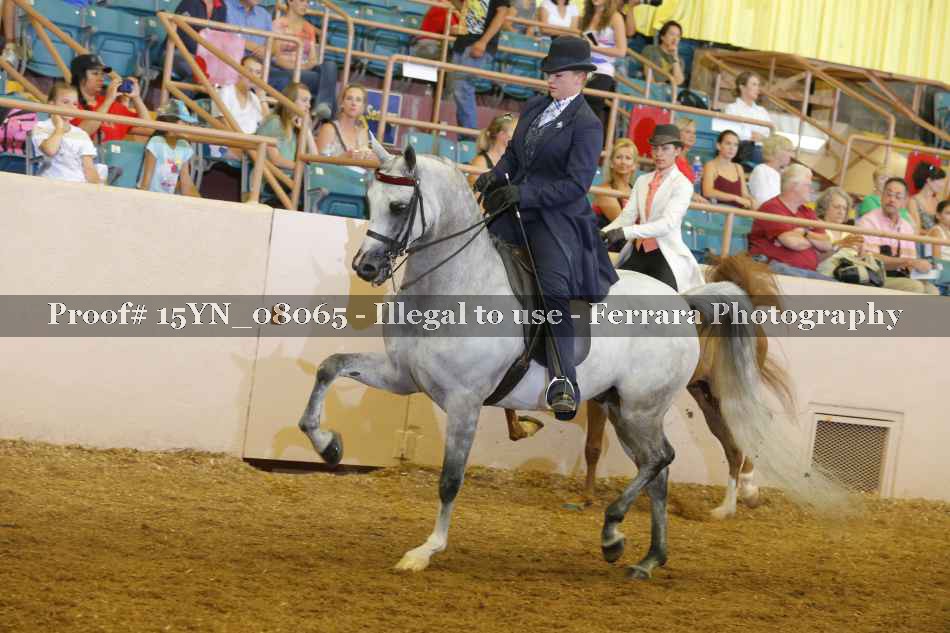 Proof 15YN_08065