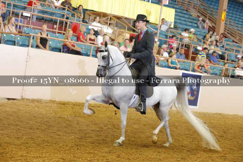 Proof 15YN_08066