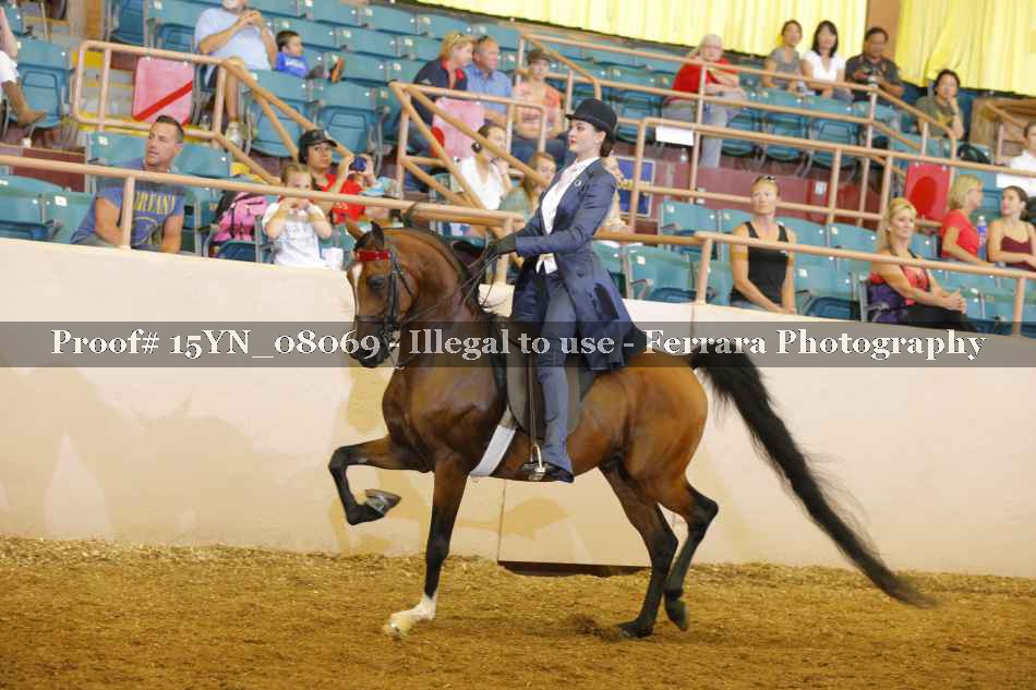 Proof 15YN_08069