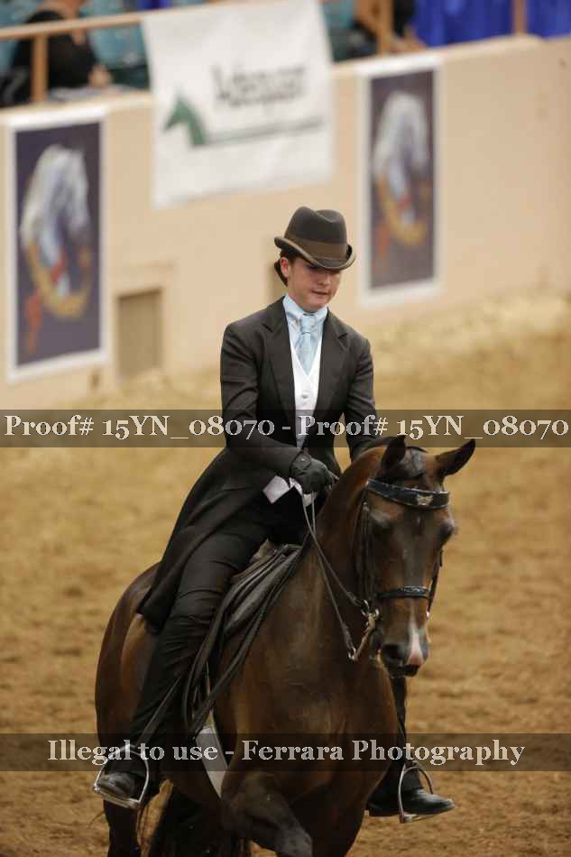 Proof 15YN_08070