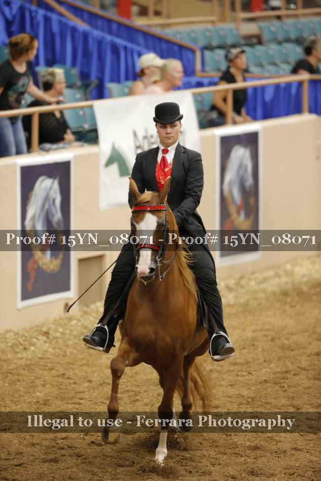 Proof 15YN_08071