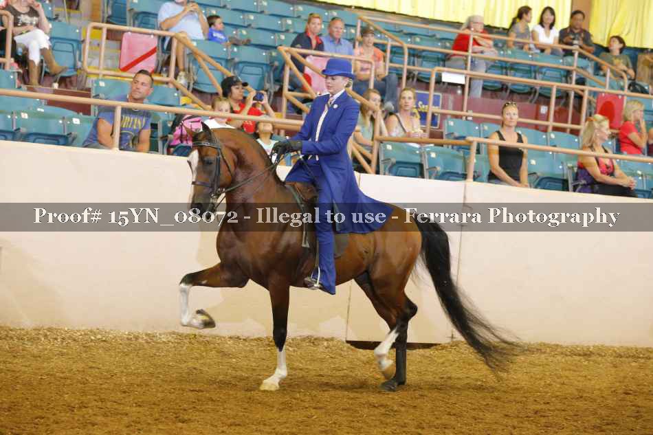 Proof 15YN_08072