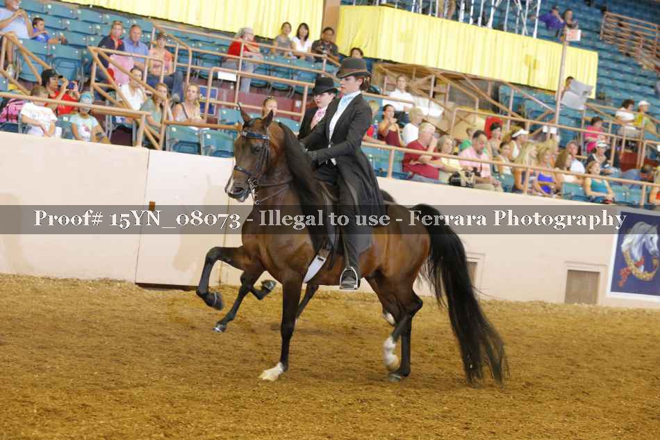 Proof 15YN_08073