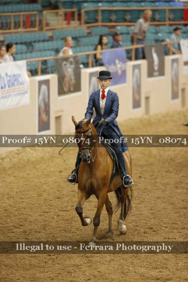 Proof 15YN_08074